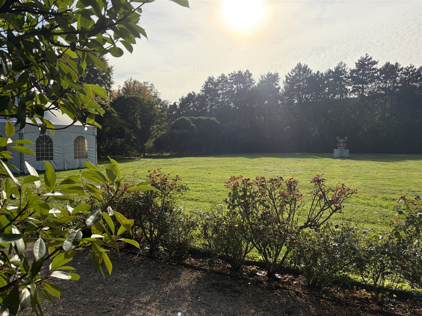 Groene tuin en ligweide op het domein van Arendshof